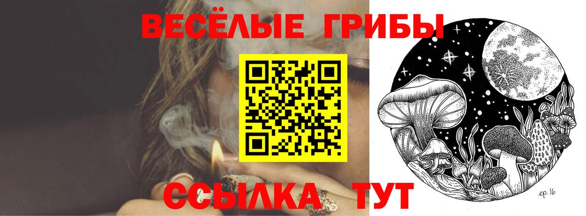 Бугуруслан  Галлюциногенные грибы прущие грибы  Вход с VPN  Галлюциногенные грибы ЛСД 